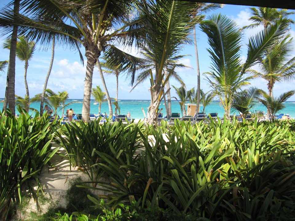 Hotelanlage Hotel Riu Palace Bavaro