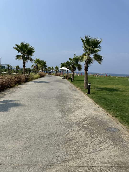 Gartenanlage Jacaranda Luxury Resort