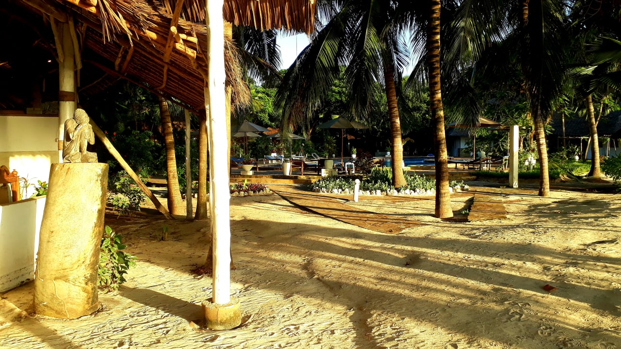 Gartenanlage Spice Island Hotel & Resort