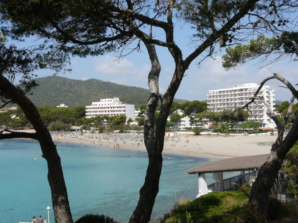Hotels und Strand Universal Hotel Castell Royal