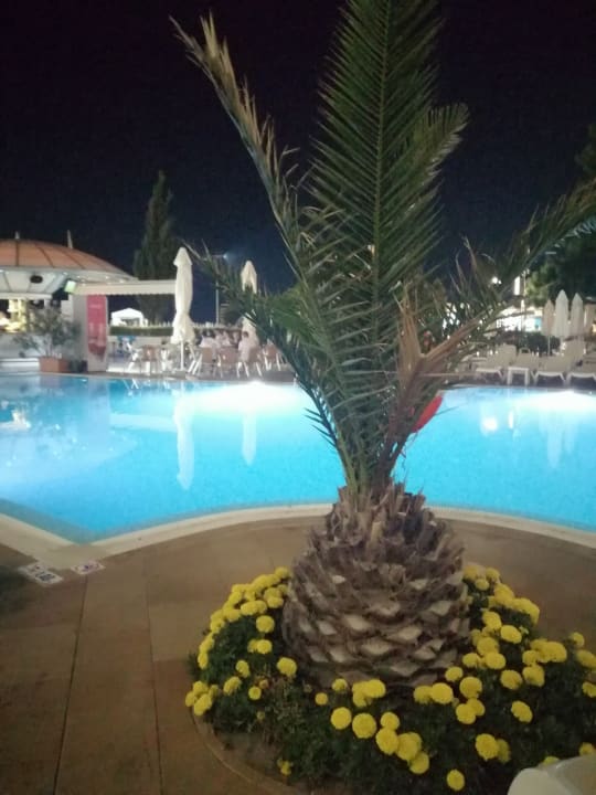 Pool Sentido Neptun Beach