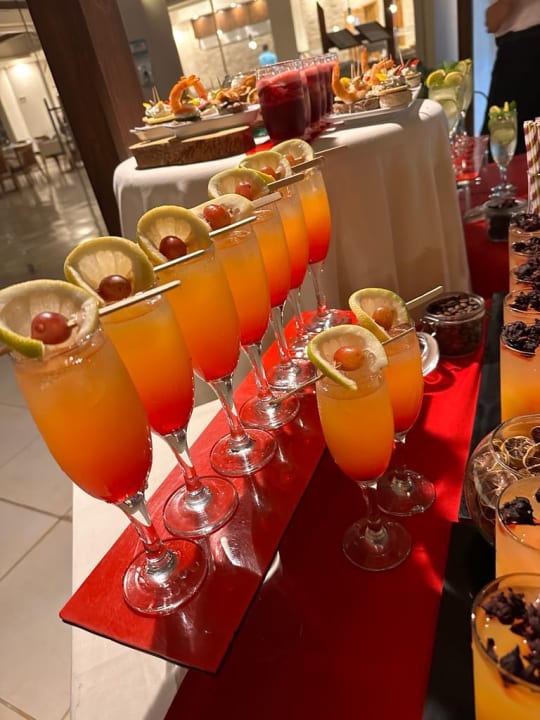 Gastro Shams Prestige Abu Soma-Adults Only