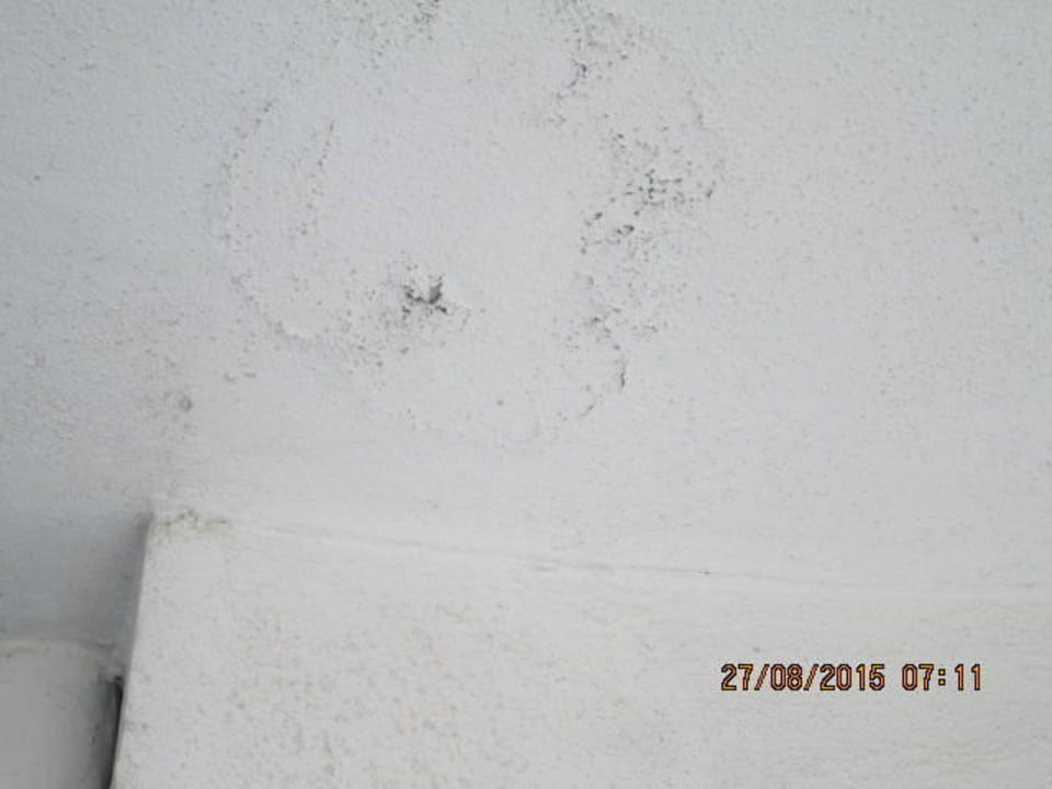 Schimmel überall Chaika Resort - Metropol, Arcadia & Chaika Beach