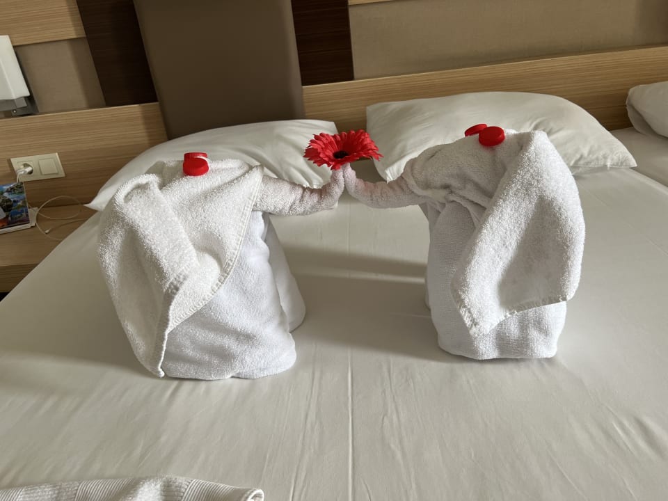 Zimmer Telatiye Resort