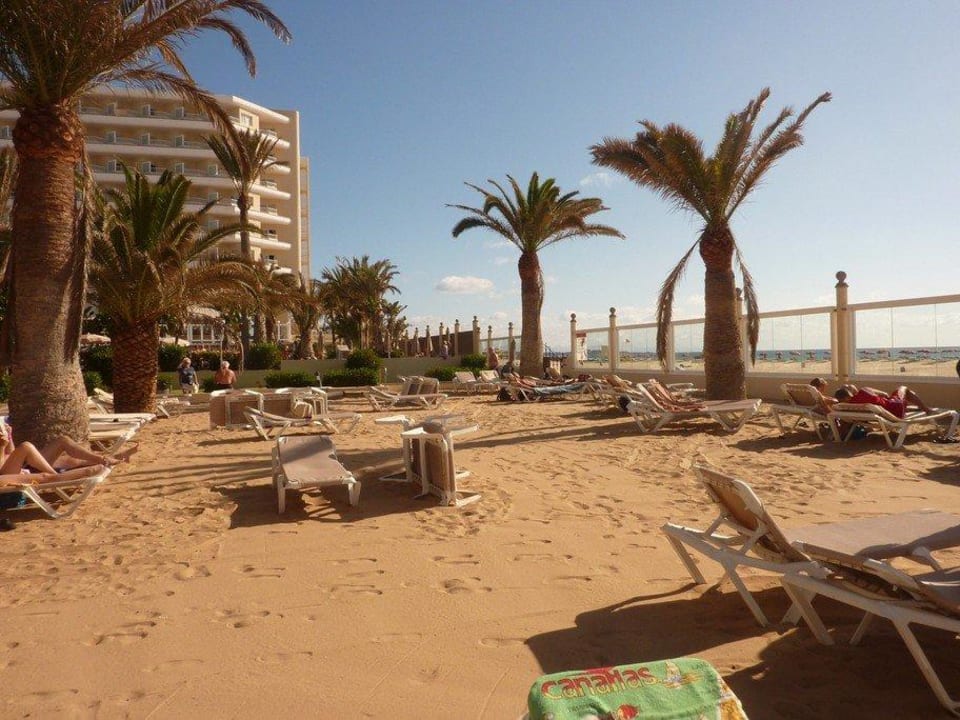 Hotelanlage und Resort Hotel Riu Oliva Beach - Hotel