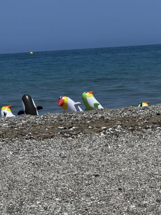 Strand Hotel Kathrin Beach