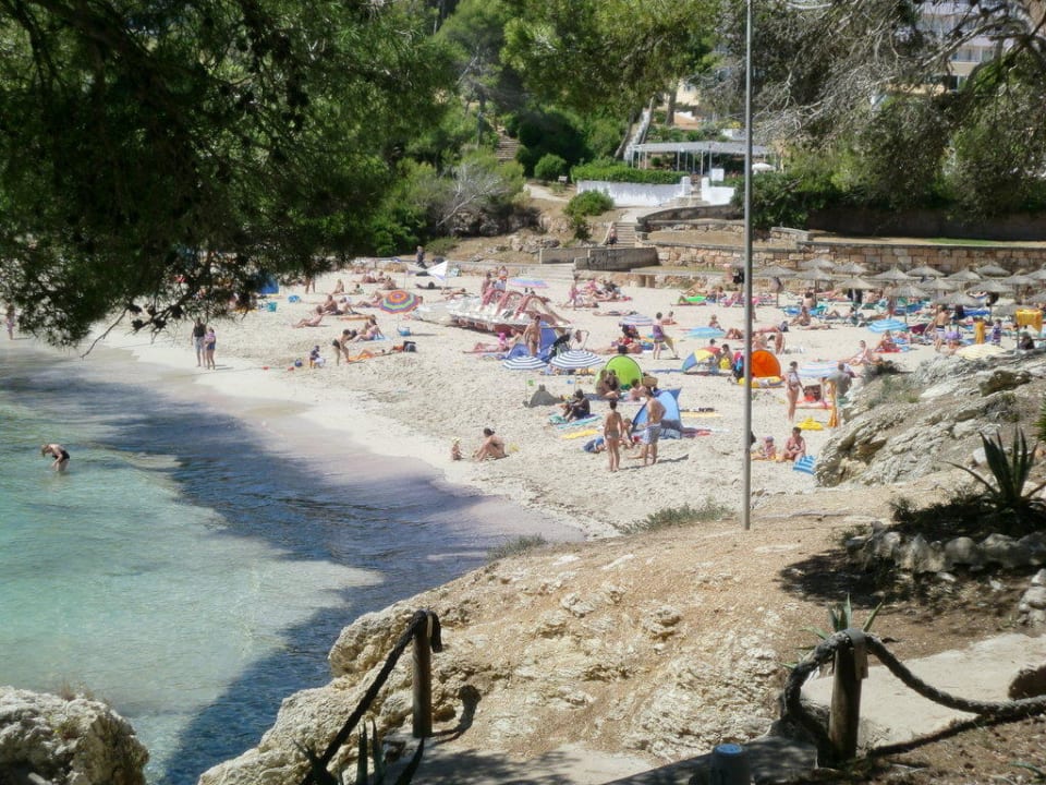 Blick auf die Bucht vom Hotel aus Iberostar Waves Pinos Park