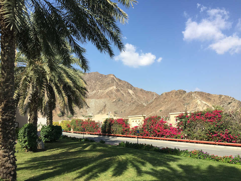 Gartenanlage Miramar Al Aqah Beach Resort