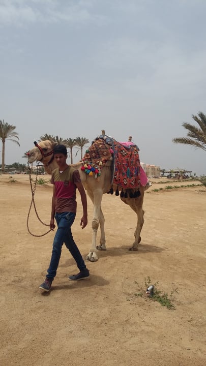 Strand Three Corners Sea Beach Resort