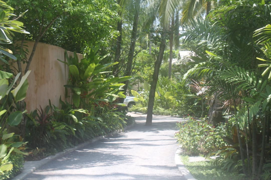 Weg von der Rezeption zum Dorf Anantara Rasananda Koh Phangan -  Villas