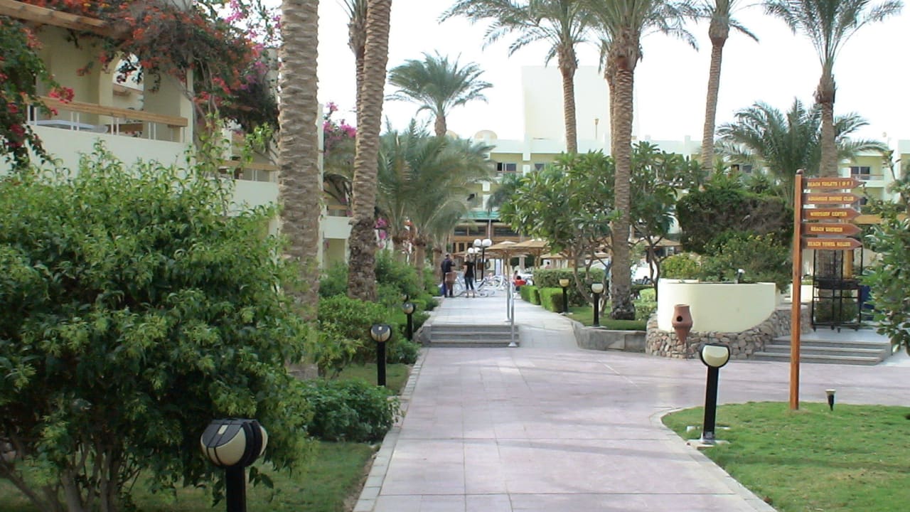 Weg zum Strand Palm Beach Resort