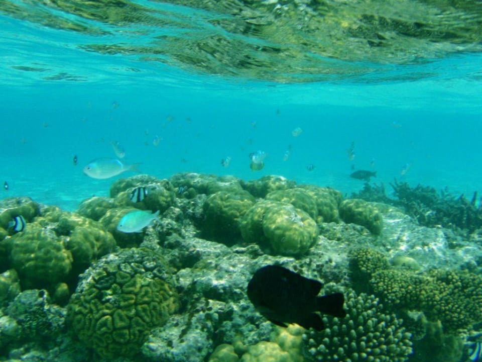 Unterwasser Embudu Village