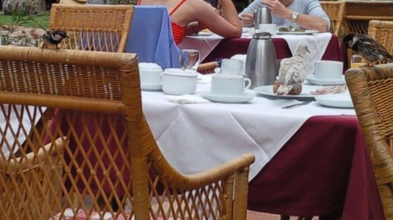Vögel auf den Tischen H10 Costa Adeje Palace