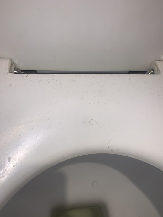 Zimmer Well Palace Side