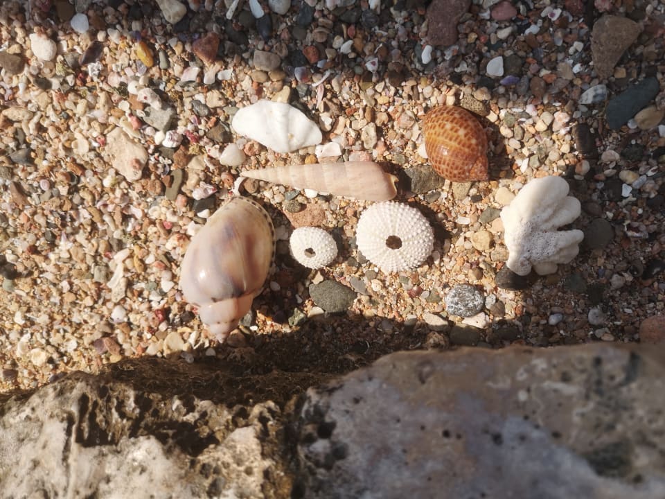 Strand Steigenberger Coraya Beach - Adults only