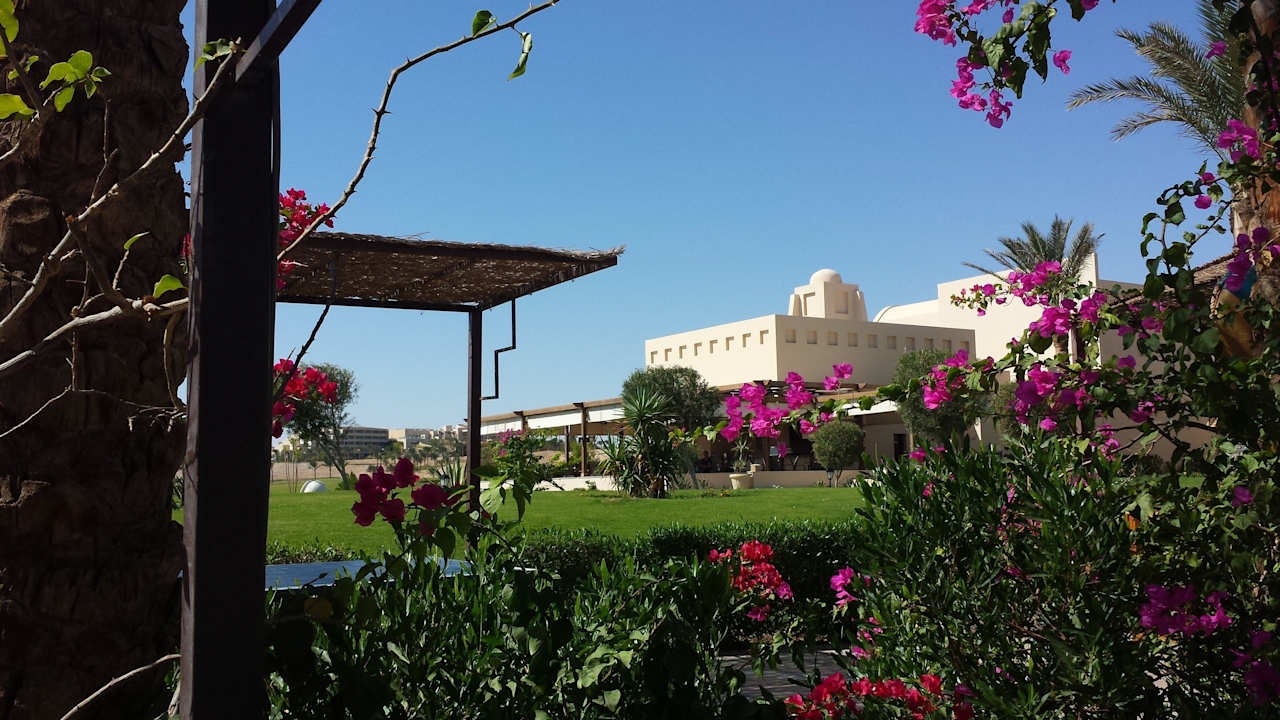 Super JAZ Neo Saraya Palms