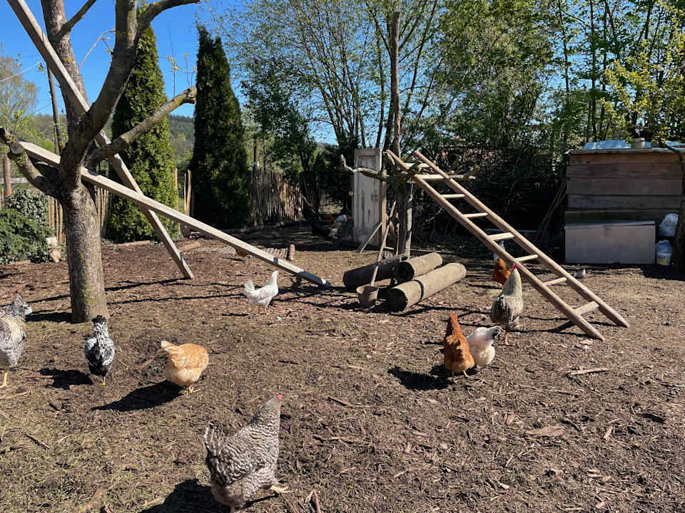 Gartenanlage Landgasthof Zur Quelle