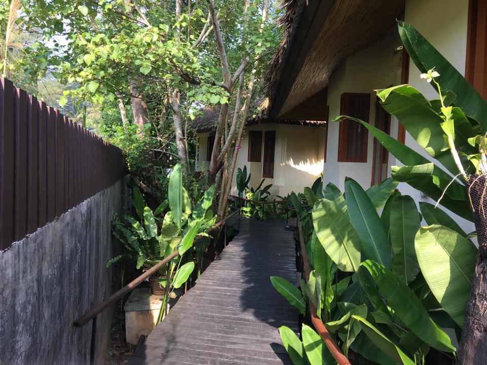 Auf dem Holzweg Bangsak Village