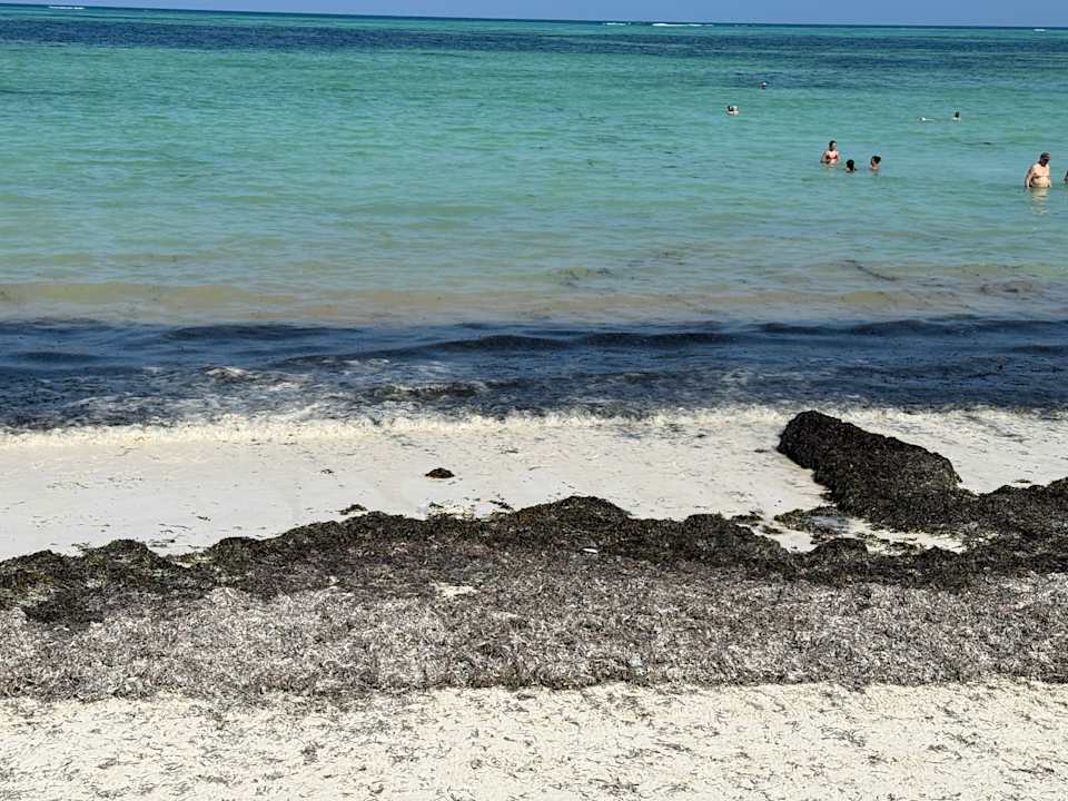 Strand TUI Blue Bahari Zanzibar