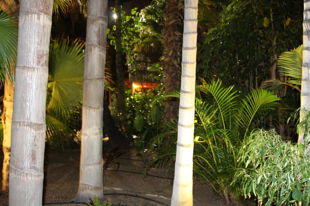 Garten am Abend Abora Buenaventura by Lopesan Hotels