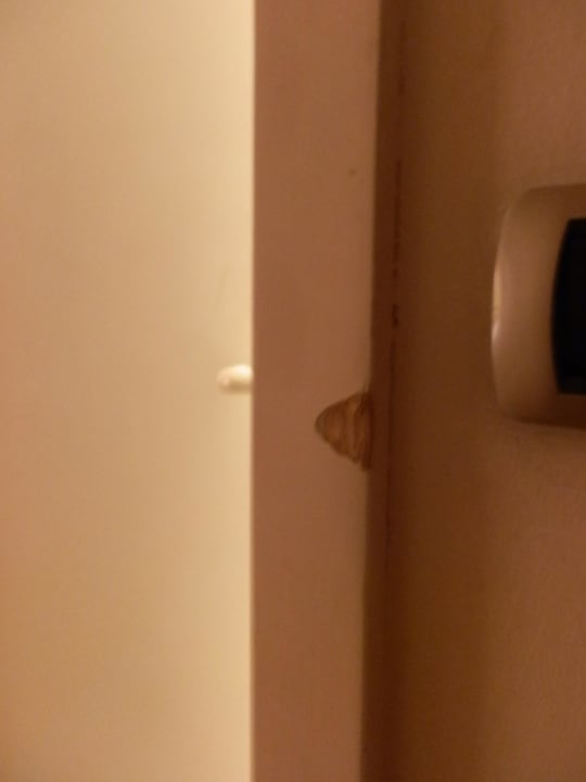 Defekte Badezimmertür Hotel Seiserhof