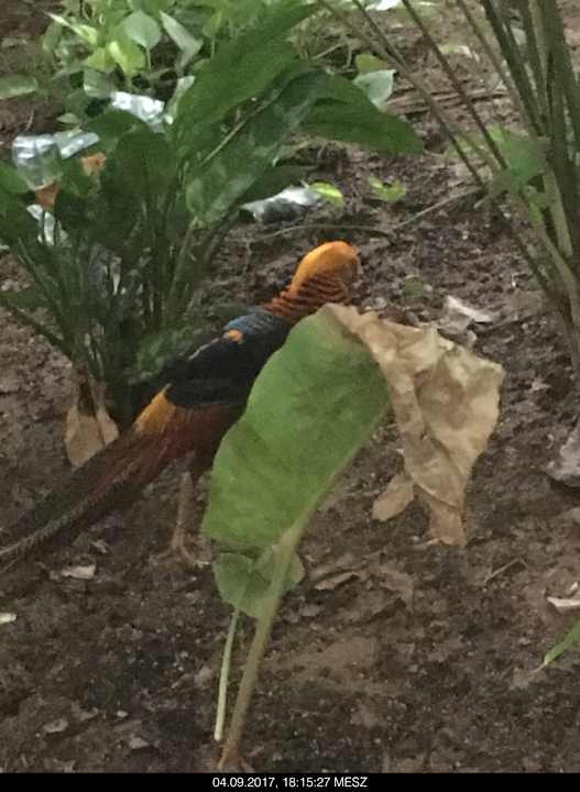 Sonstiges Tropical Islands Resort