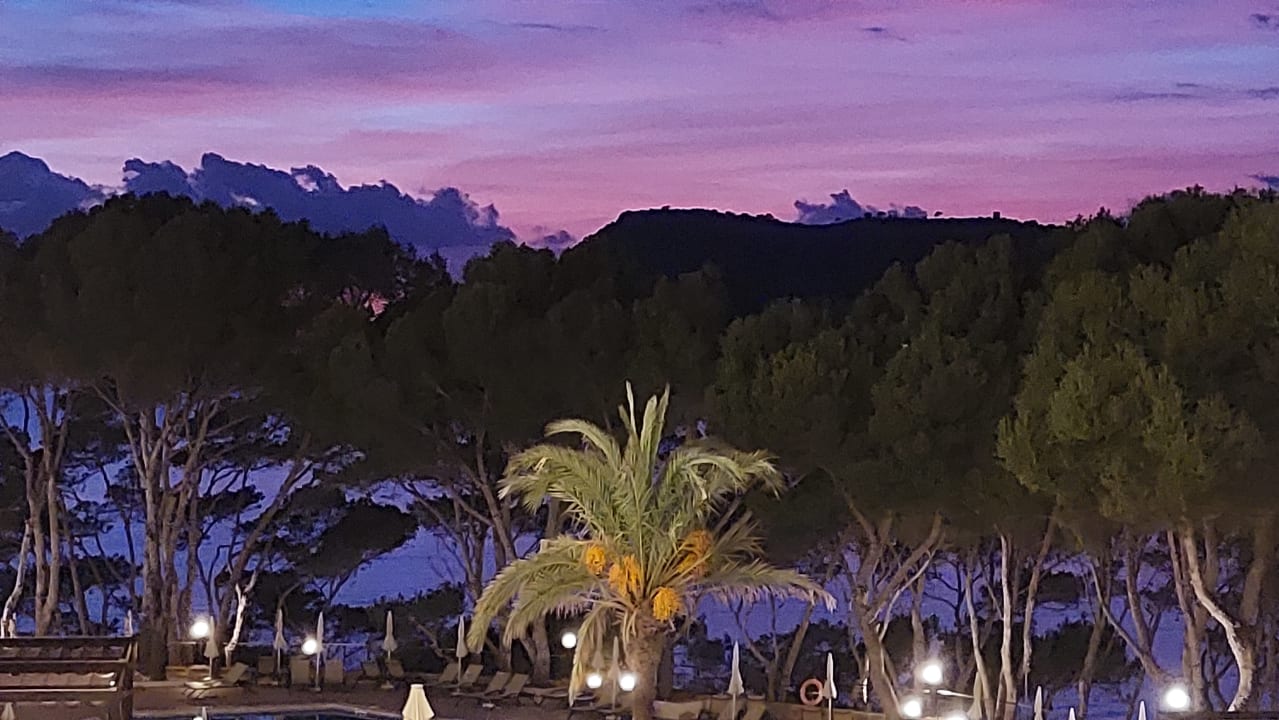 Ausblick Universal Hotel Lido Park & Spa