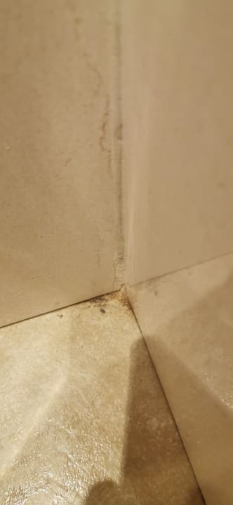 Zimmer Grupotel Tamariscos