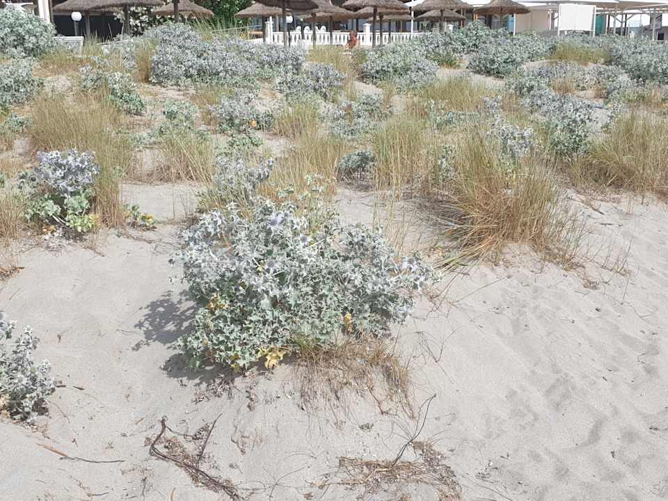 Außenansicht Hotel Exagon Park