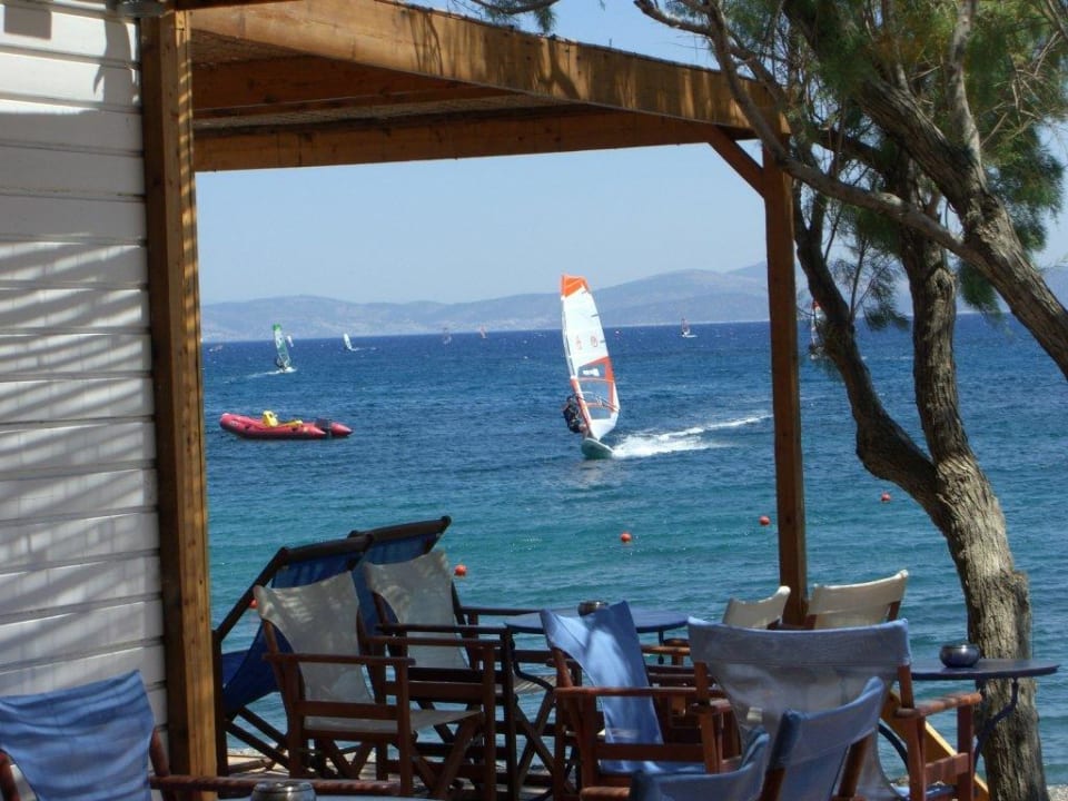 Surfers Bar TUI BLUE Oceanis Beach and Spa Resort