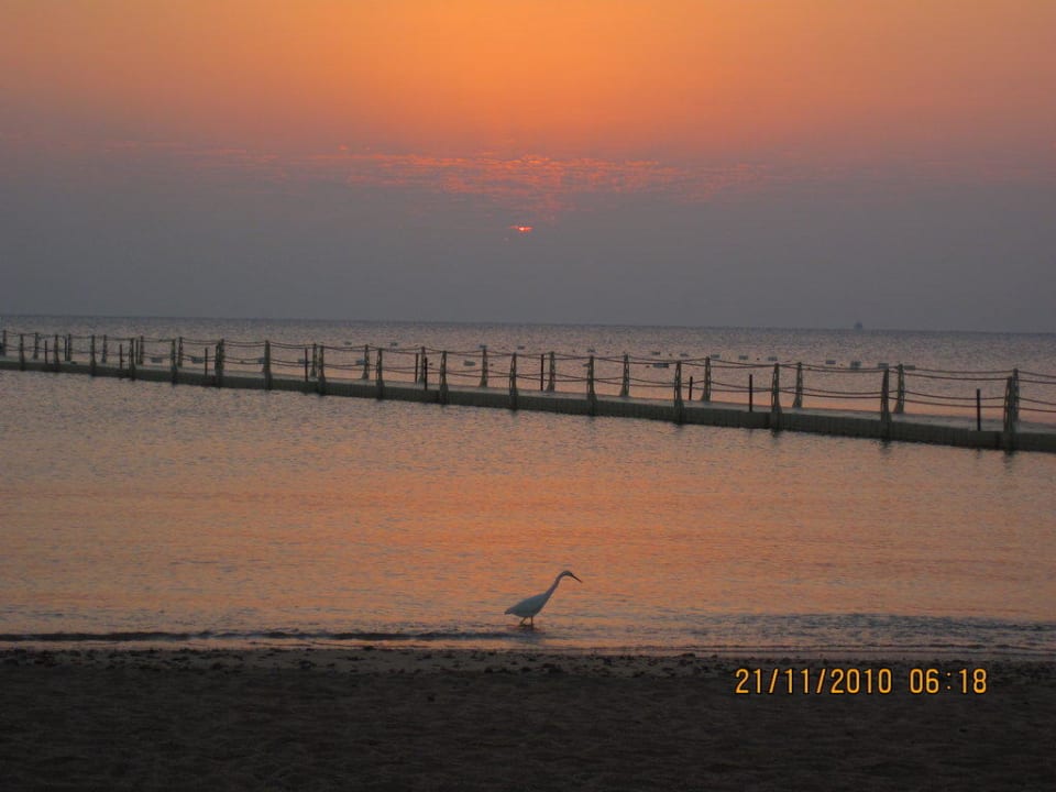 Sonnenaufgang Pickalbatros Palace Resort