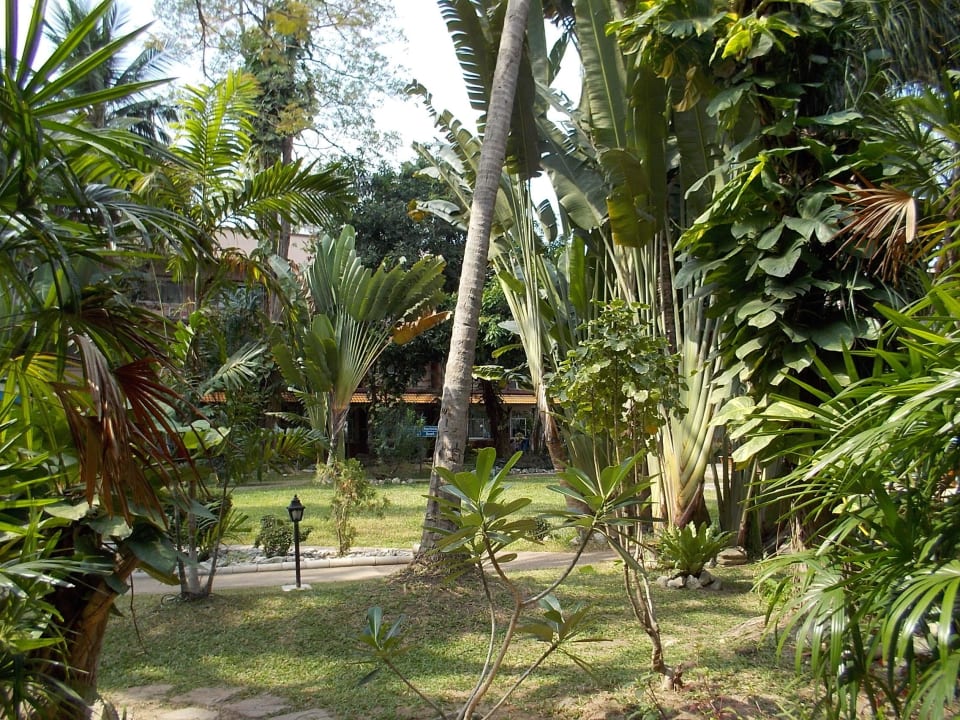 Zahrada  Basaya Beach Hotel & Resort