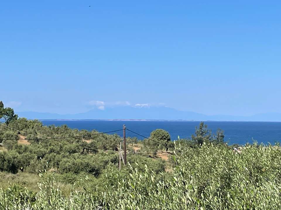 Zimmer Hotel Geranion Village