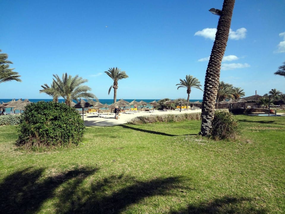 Garten zwischen Pools und Strand Hotel Eden Star