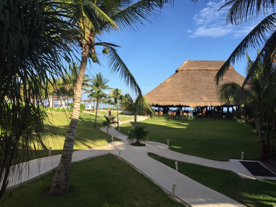 Gartenanlage Akumal Bay Beach & Wellness Resort