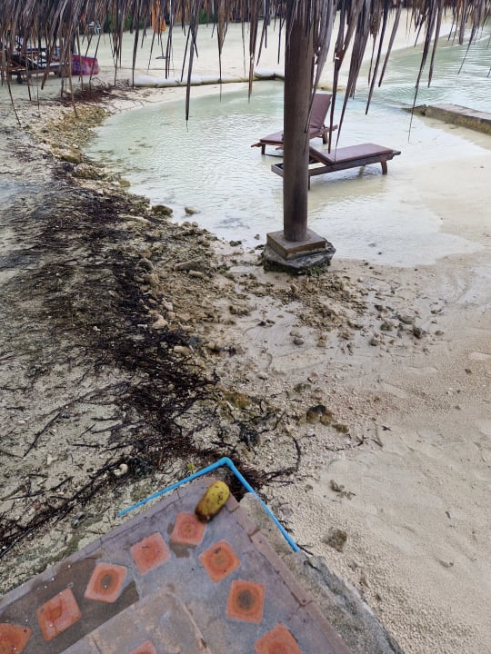 Strand Cinnamon Dhonveli Maldives