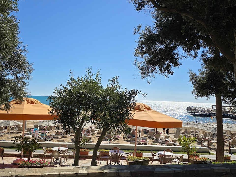 Strand Arum Barut Collection