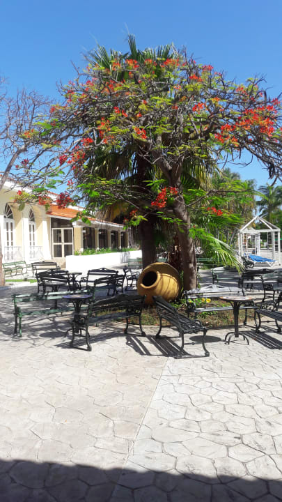 Außenansicht Hotel Roc Barlovento