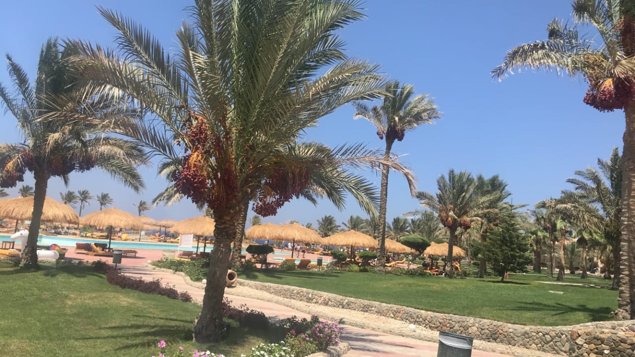 Außenansicht Three Corners Sea Beach Resort