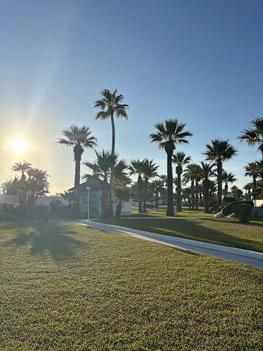 Gartenanlage Calimera One Resort Jockey