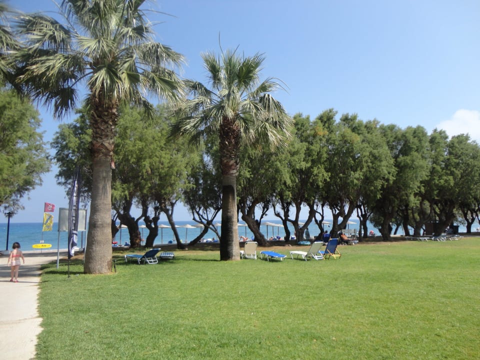 Fußball und Freizeit TUI KIDS CLUB Alex Beach