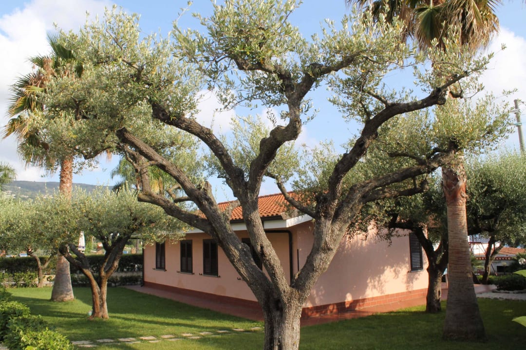 Villette che dispone la struttura Hotel Residence Rosy