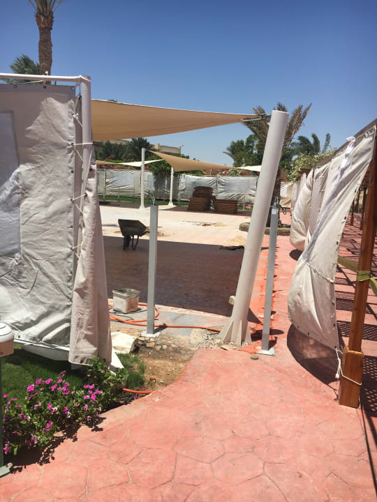 Sonstiges Desert Rose