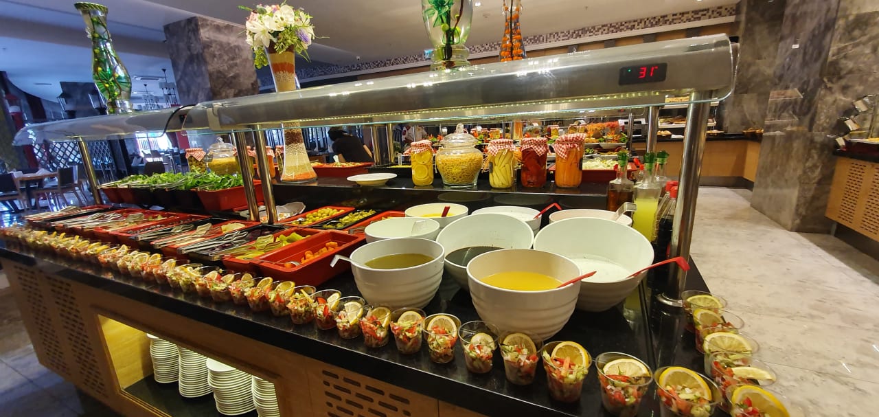 Gastro Seashell Vega