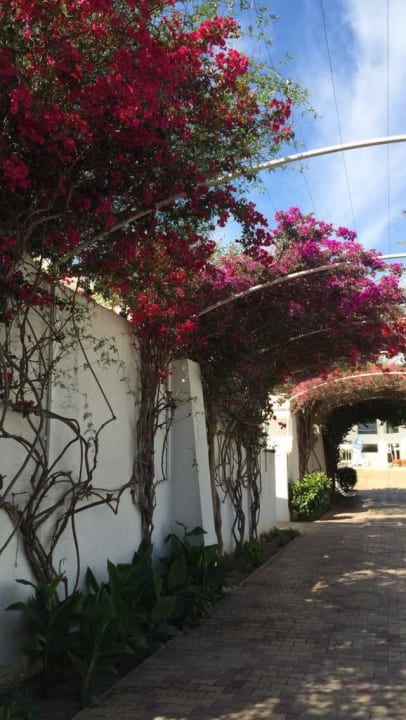 W drodze na plaże ;) El Mouradi Club Kantaoui