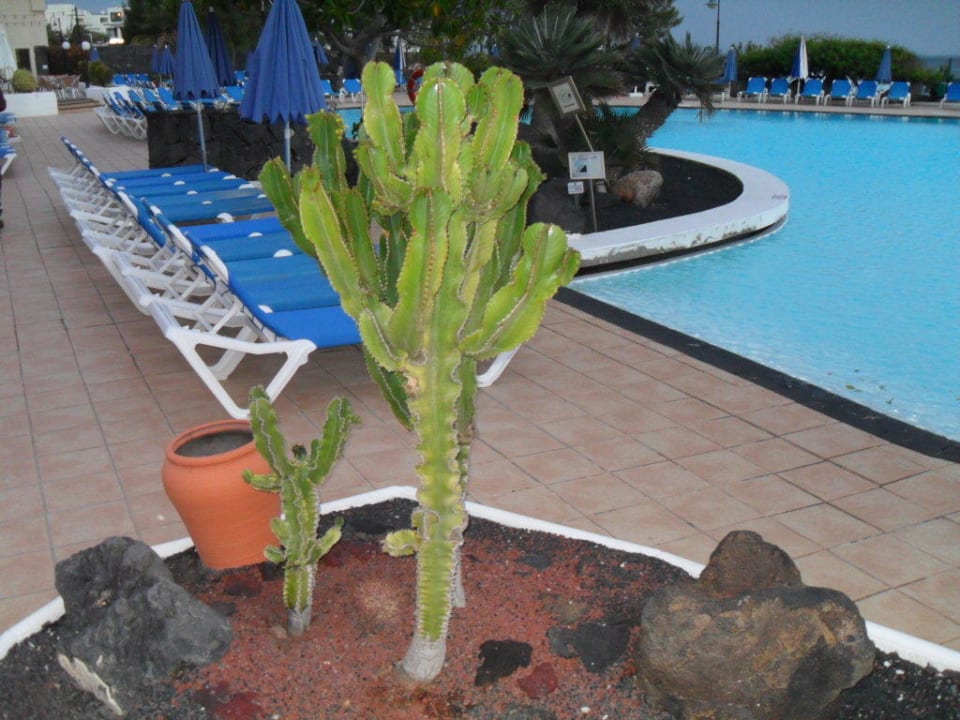 Baseny pod wieczór.  Hotel Grand Teguise Playa