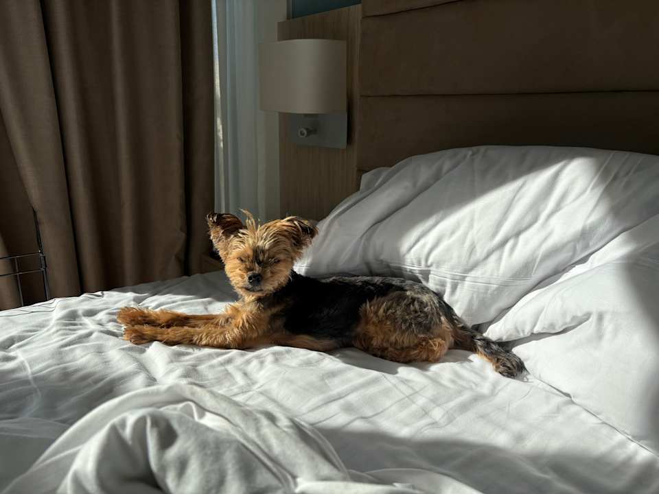 Zimmer Valamar Girandella Designed for Adults