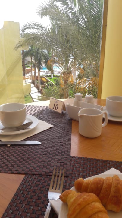 Gastro Palm Beach Resort