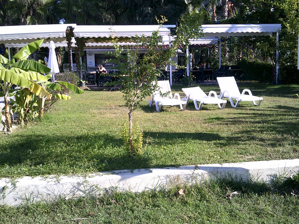 Garten Merve Sun Hotel & Spa