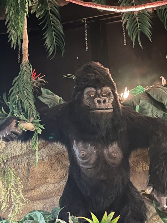 Gastro Ferienwohnungen Ferienpark Weissenhäuser Strand